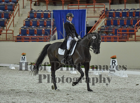 CWdressageI(8-20-16)1458