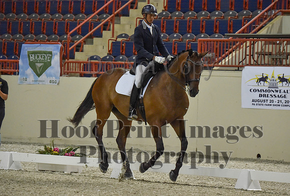 CWdressageI(8-20-16)0488