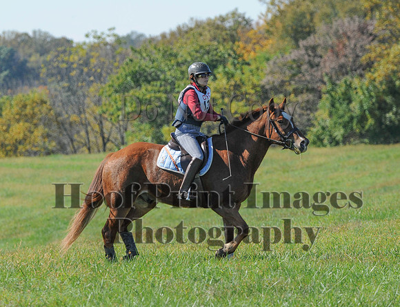 Cheshire(10-20-13)0268