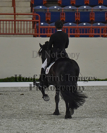 CWdressageII(8-21-16)0613