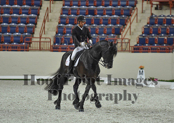 CWdressageI(8-20-16)1674