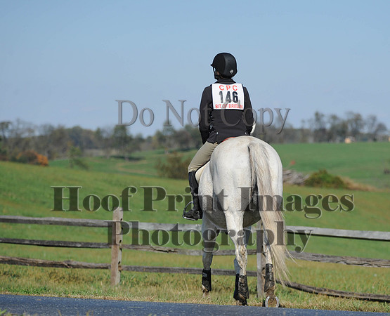 Cheshire(10-20-13)0683