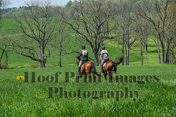 CheshireSpringPC1(4-28-24)0394