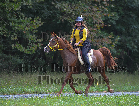 ChesapeakeCTR(9-20-14)0124
