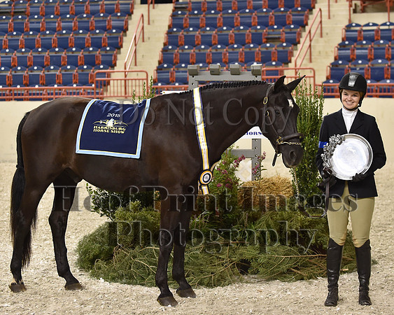HarrisburgHS(8-23-15)1295