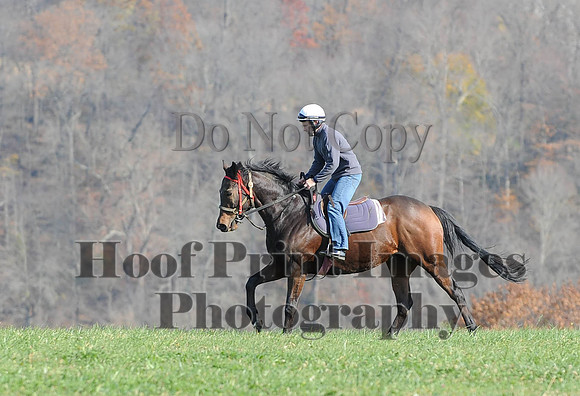 AndrewsBr(11-9-14)0090