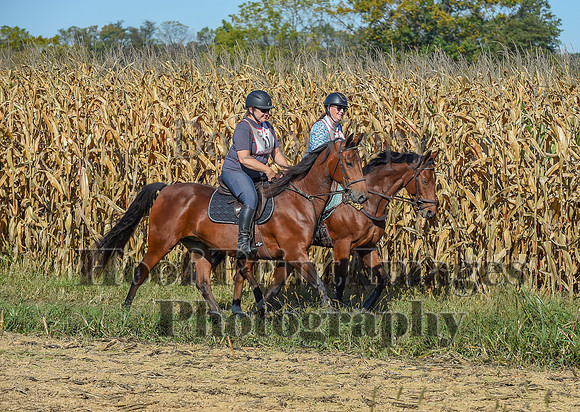 CheshirePonyClubPC(10-6-24)0115