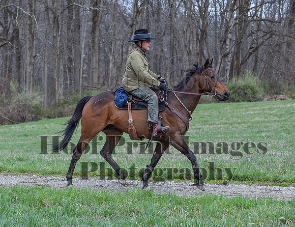 ChesapeakeSpring(4-10-22)0290