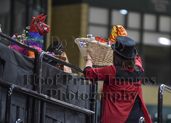 MidAtEqFest(11-14-15)1347
