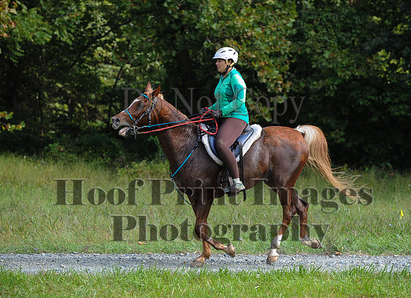 ChesapeakeCTR(9-20-14)0383