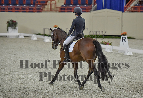 CWdressageI(8-20-16)0341