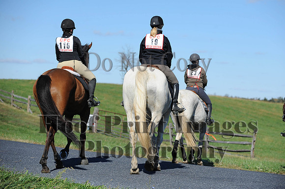 Cheshire(10-19-14)0180