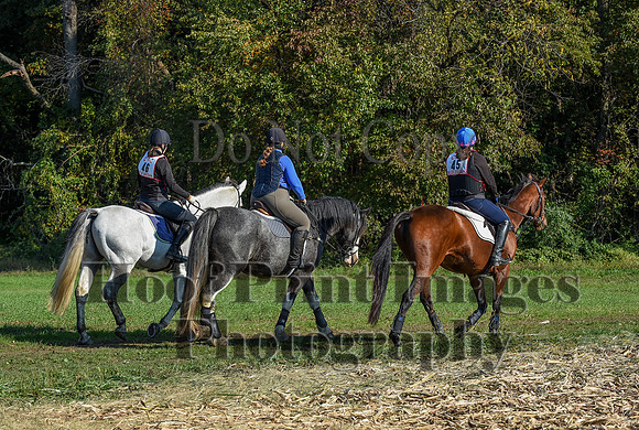 CheshirePC(10-18-20)0134