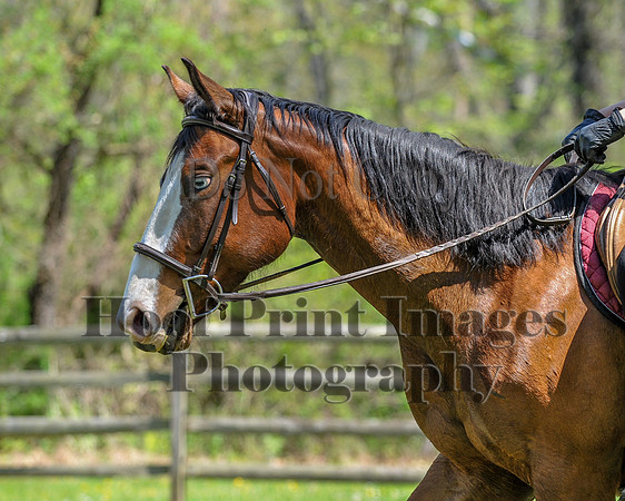 CheshireSpringPC2(4-28-24)0323