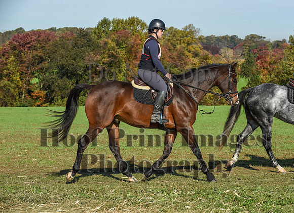 CheshirePC(10-18-20)0176