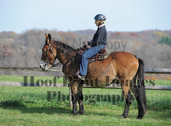 AndrewsBr(11-9-14)0322