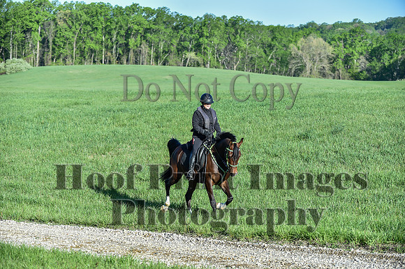 ChesapeakeSpring(4-27-25)0123