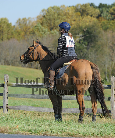 Cheshire(10-20-13)0114