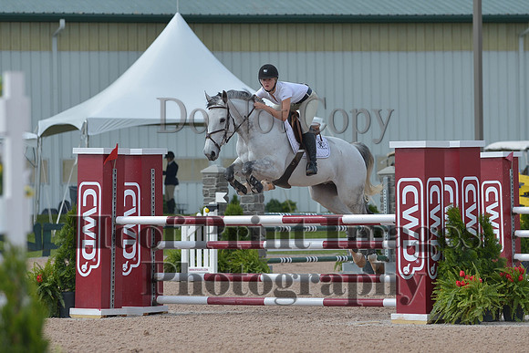 BRSa(5-17-14)HChAdJ0085