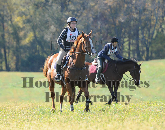 Cheshire(10-20-13)0606
