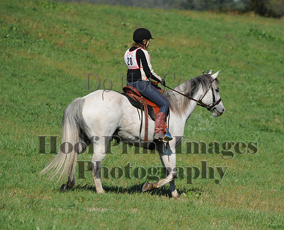 Cheshire(10-20-13)0392