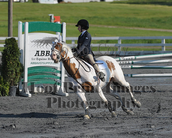 StCSu(5-12-13)PJmp0065