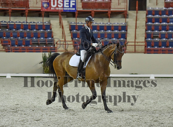 CWdressageI(8-20-16)1345