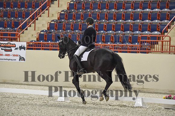 CWdressageI(8-20-16)0960
