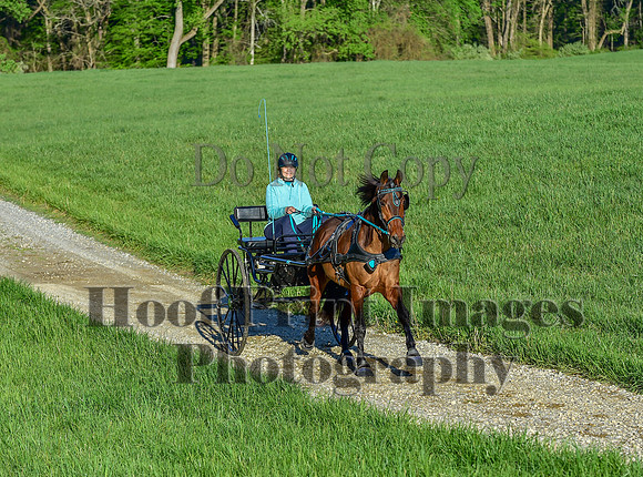 ChesapeakeSpring(4-27-25)0040