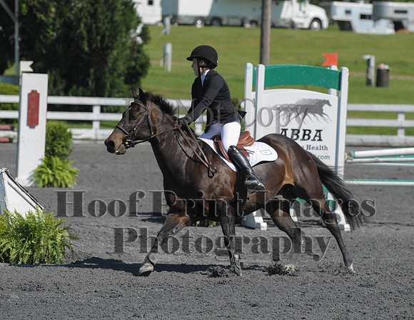 StCSu(5-12-13)PJmp0116