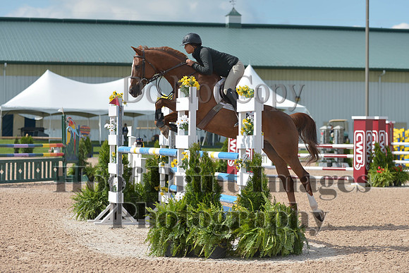 BRSa(5-17-14)HChAdJ0076