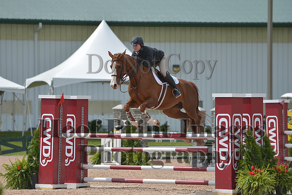 BRSa(5-17-14)HChAdJ0203