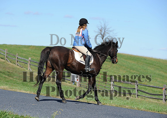 Cheshire(10-19-14)0108