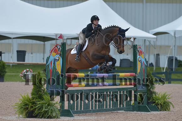BRSa(5-17-14)HChAdJ0264
