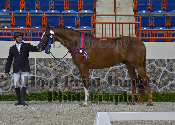 CWdressageII(8-21-16)1393