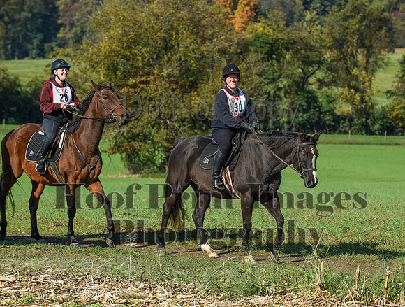 CheshirePC(10-18-20)0148