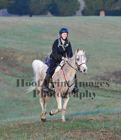 Foxcatcher(4-12-14)0370