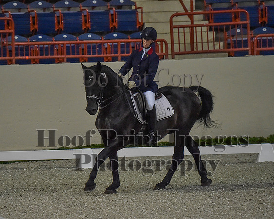 CWdressageII(8-21-16)0048