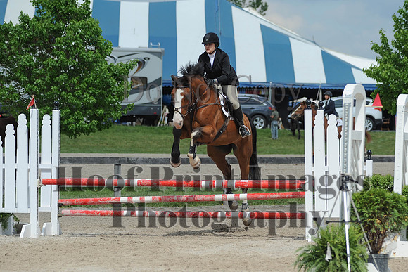 BRSa(5-17-14)0.8mJCl0044