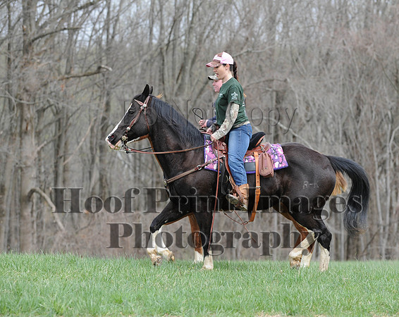 FairhillPC(4-18-14)0072
