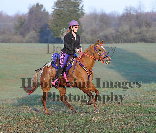 Foxcatcher(4-12-14)0324