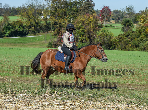 CheshirePC(10-18-20)0315