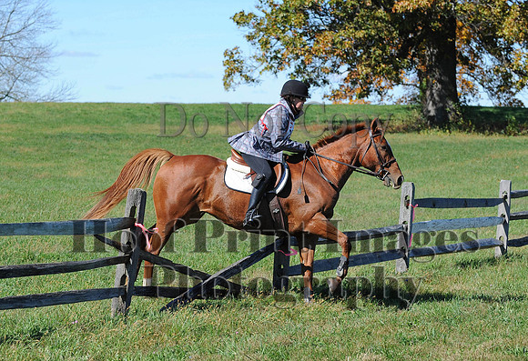 Cheshire(10-19-14)0082