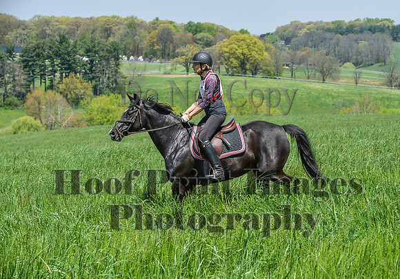 CheshireSpringPC1(4-28-24)0489