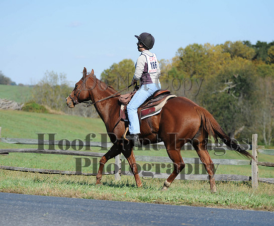 Cheshire(10-20-13)0543
