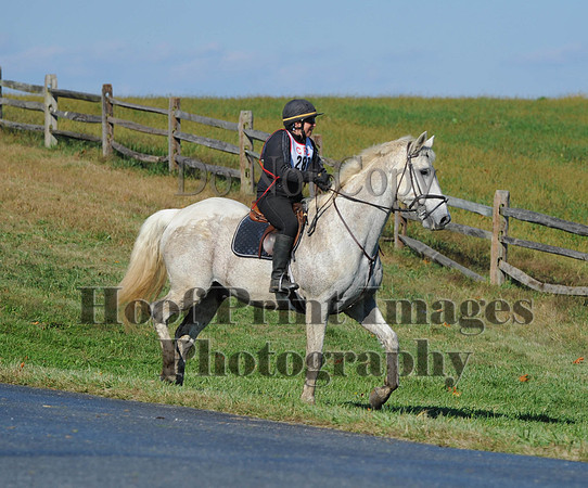 Cheshire(10-20-13)0670