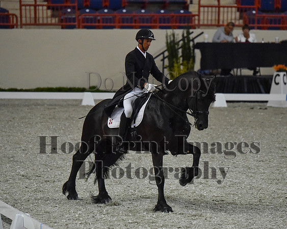CWdressageII(8-21-16)0587