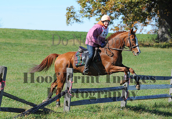 Cheshire(10-19-14)0273