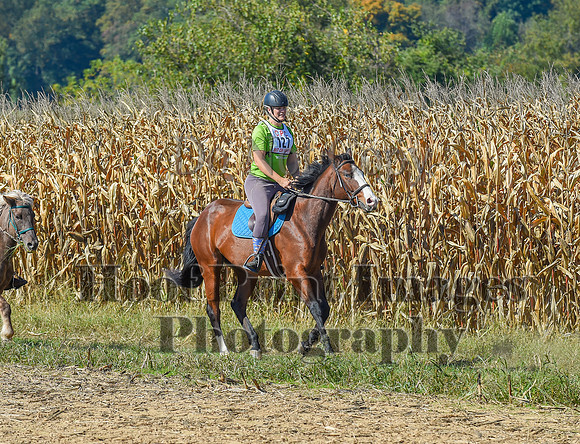 CheshirePonyClubPC(10-6-24)0541