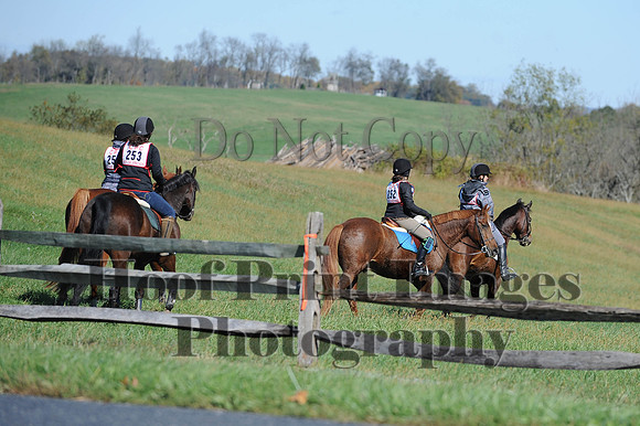 Cheshire(10-19-14)0089